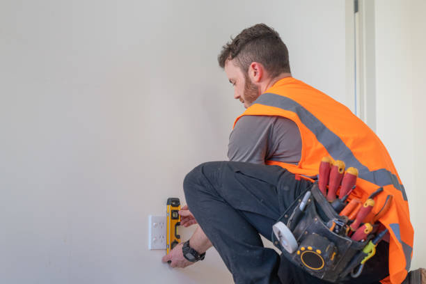 Best Electric Panel Repair  in Mathis, TX